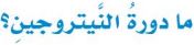 دورة النتروجين